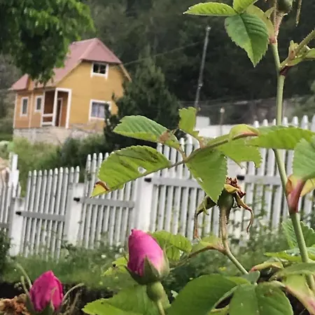 Bujtina Oxhaku I Docit * Fushe-Lure